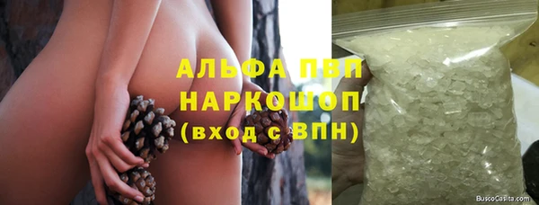 индика Баксан