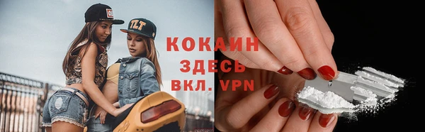 индика Баксан