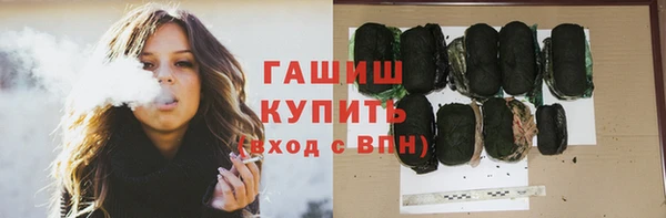индика Баксан