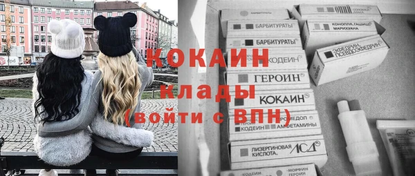 индика Баксан