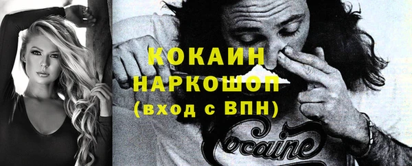 индика Баксан