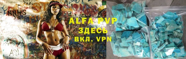 индика Баксан