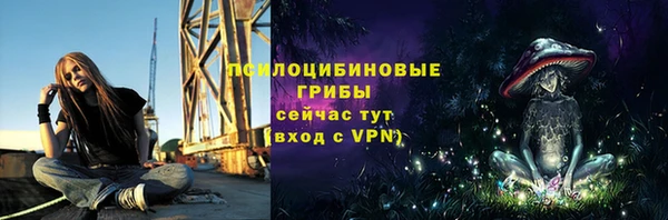 индика Баксан