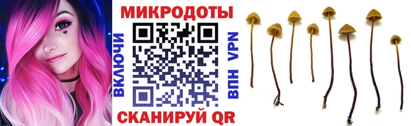 блэк спрут онион  Кущёвская  Псилоцибиновые грибы Psilocybine cubensis 